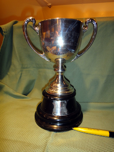 Mini Cup